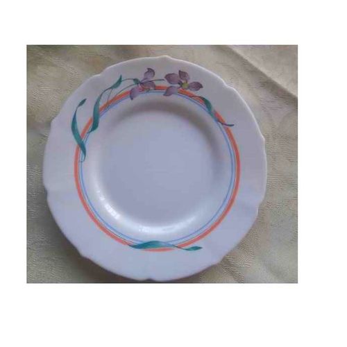 Assiette Plat Arcopale Arcoroc Verre Decor Blanc Avec Vegetation Fleur Violette Liseret Orange Retro Vintage Incassable Resistant Temperature Passe Au Micro Onde Lave Vaisselle Legere Solide Elegante