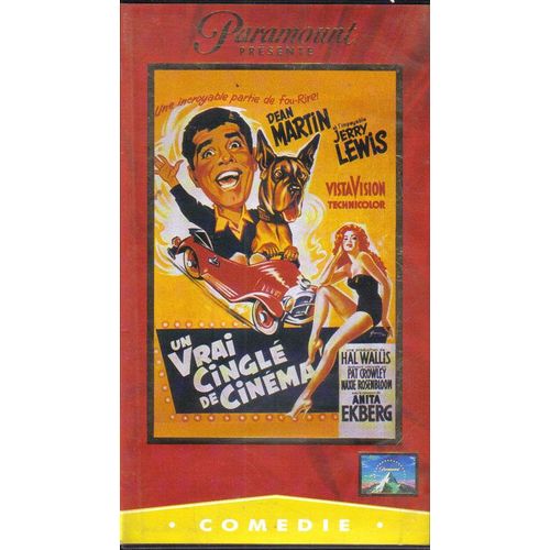 Un Vrai Cingle De Cinema