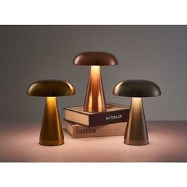 Lampe de table champignon LED rechargeable intégrée 1800 mAh avec 3 modes  d'éclairage à intensité variable pour restaurant, terrasse, intérieur et  extérieur : : Luminaires et Éclairage