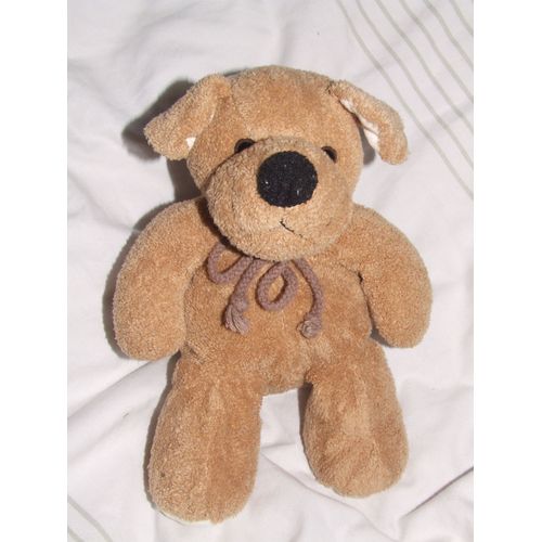 Chien Gipsy Marron