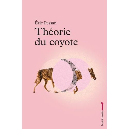 Théorie Du Coyote