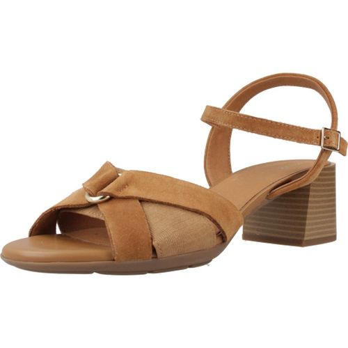 Geox D New Marykarmen Colour Marron