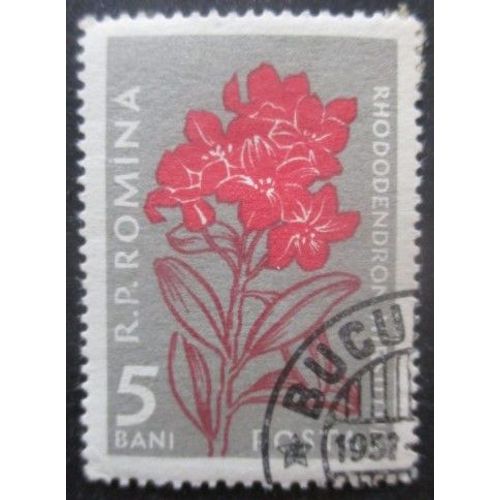 Roumanie N°1517 Rhododendron Oblitéré