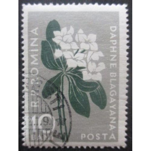 Roumanie N°1518 Daphné Oblitéré