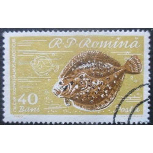 Roumanie N°1743 Turbot Oblitéré