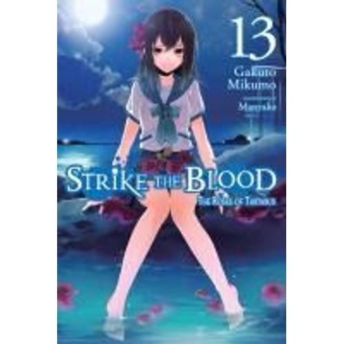 Strike The Blood, Vol. 13 (Light Novel)