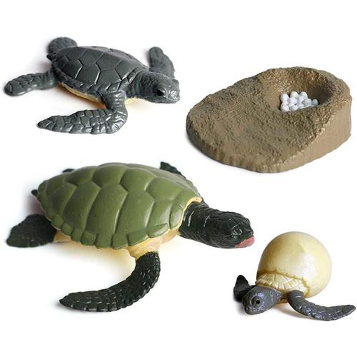 Jouet De Figurines D'animaux De Cycle De Vie,Tortue De Mer Croissance Cycle De Vie Modèle Enfants Étudiant Biologie Jouets Aides Pédagogiques, Modèle De Cycle De Croissance Animale De Simula.[V771]