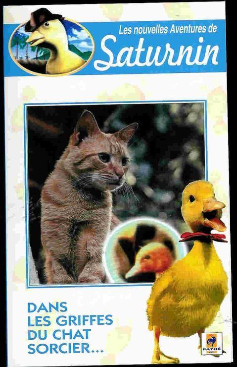 Saturnin Dans Les Griffes Du Chat Sorcier Rakuten