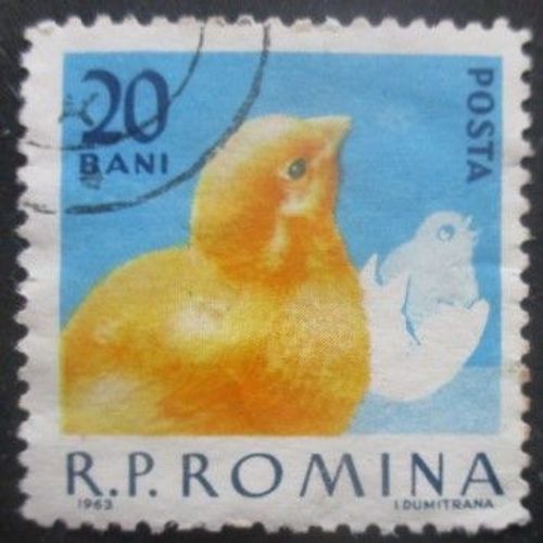 Roumanie N°1908 Poussin Oblitéré