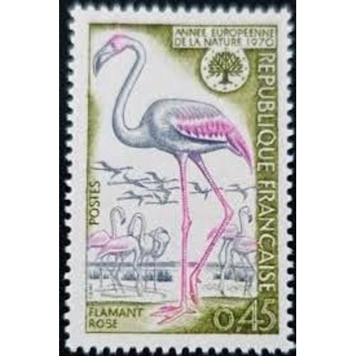 Année Européenne De La Nature : Flamand Rose Année 1970 N° 1634 Yvert Et Tellier Luxe