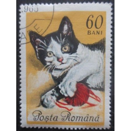 Roumanie N°2114 Chat Oblitéré