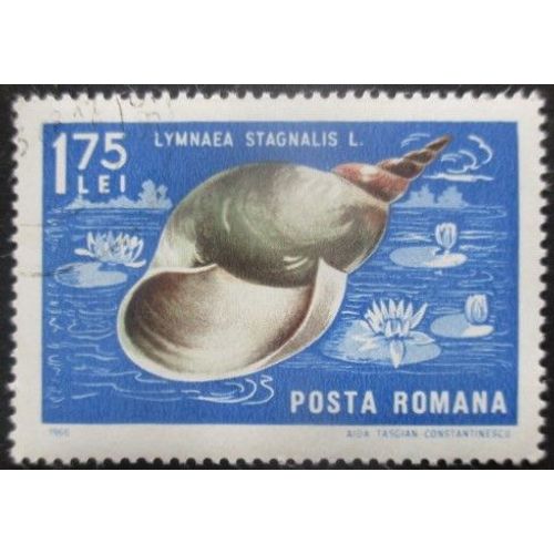 Roumanie N°2246 Coquillage Oblitéré
