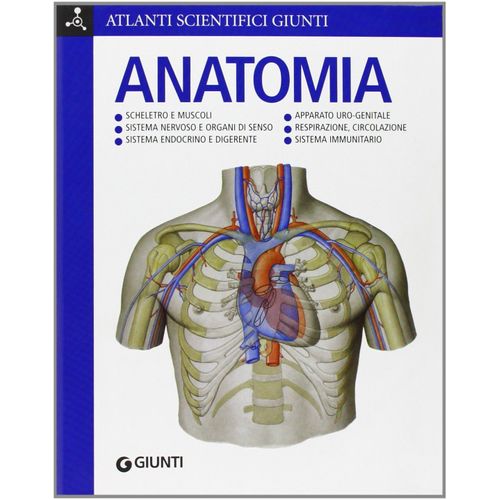 Anatomia