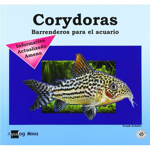 Corydoras