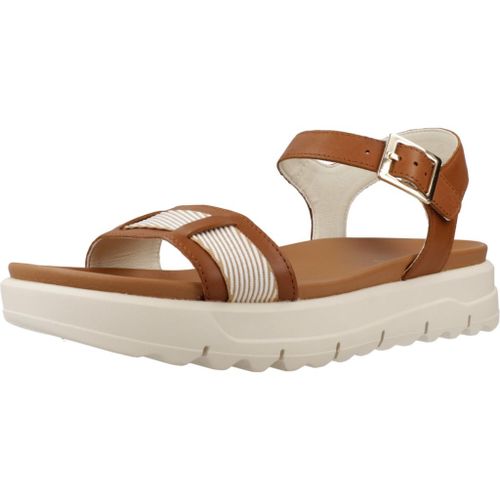 Chaussures Geox D Xand 2.1s Colour Marron