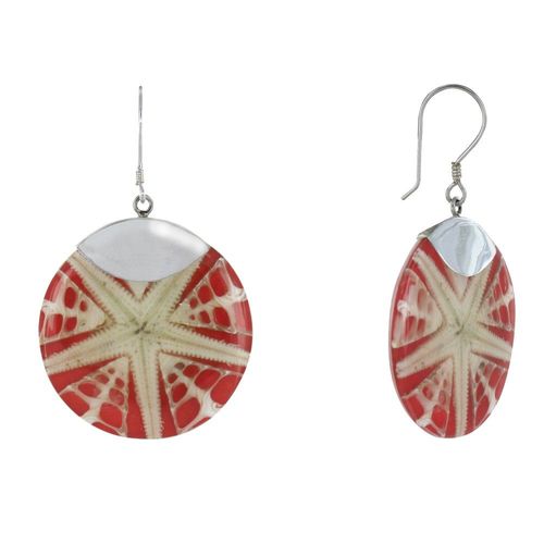 Les Poulettes Bijoux - Boucles D'oreilles Argent Disque Etoile De Mer