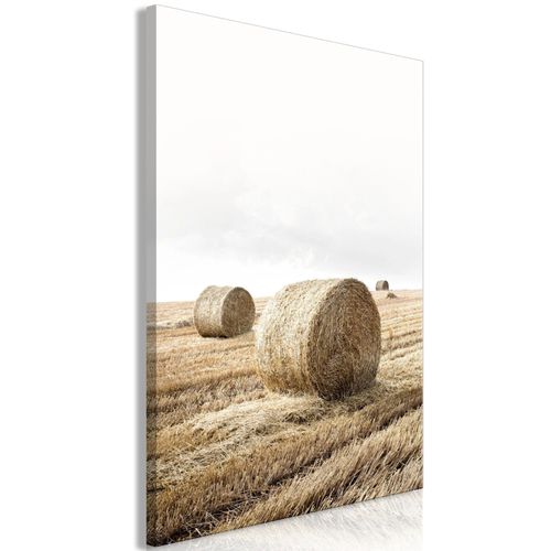 Tableau toile de décoration murale impression premium en 1 partie sur châssis en bois motif Foins 80x120 cm 11_0018334