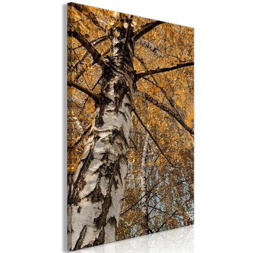 Tableau toile de décoration murale impression premium en 1 partie sur châssis en bois motif Couleurs d'automne 20x30cm 11_0017596
