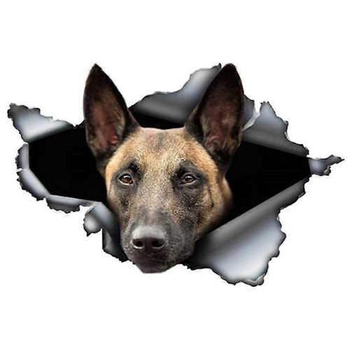 2 pices Autocollants Muraux 3D Creative Animal Belge Malinois Autocollant De Voiture Dcalque en Mtal Dchir Autocollants Rflchissants tanche Berger