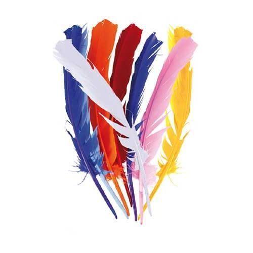 Plume 30 cm couleurs assorties sachet de 12