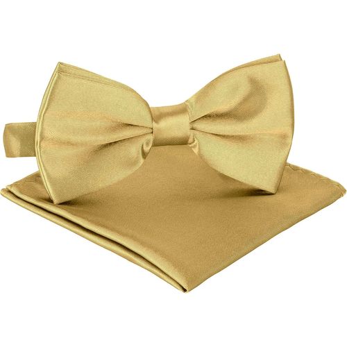 N?ud Papillon Homme Pour Smoking + Mouchoirs De Poche,Avec Crochet,Déjà Lié Et Réglable