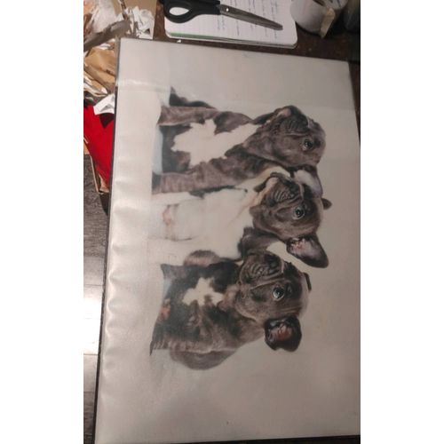 Sous Main Chiots
