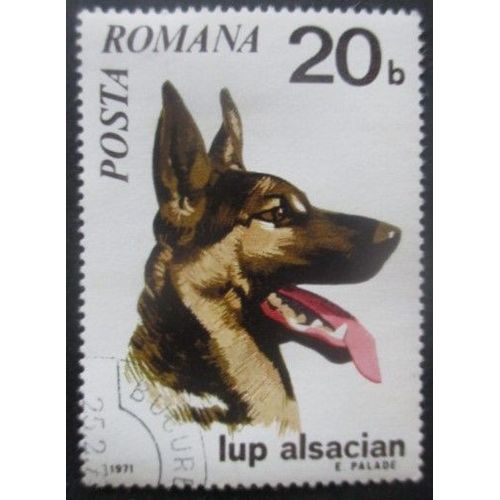 Roumanie N°2586 Chien Oblitéré