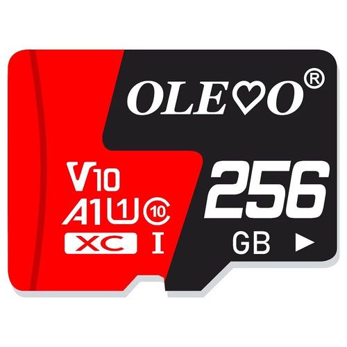 Carte mémoire Flash UHS-I TF/SD classe 10 EVO + Mini SD 32 go, 64 go/128 go, classe 10-256GB