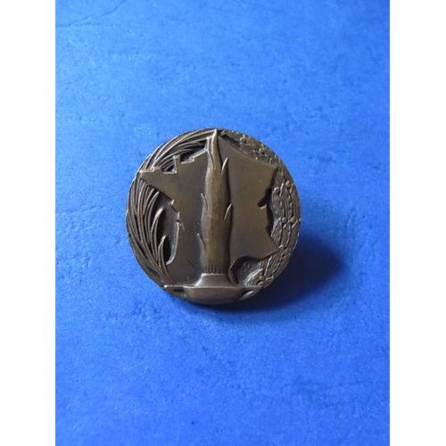 Ww1 / Ancien Combattant / Insigne De Boutonniere / Original
