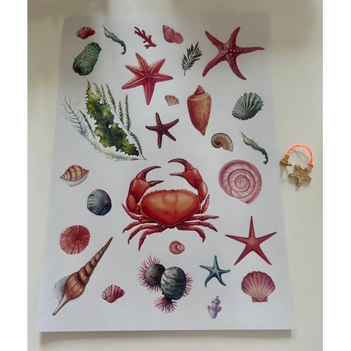 Éléments Décoratifs Pour Scrapbooking