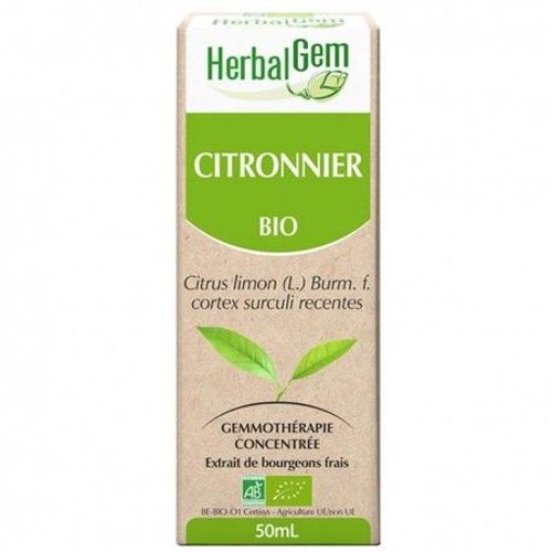 Gemmobase Citronnier 