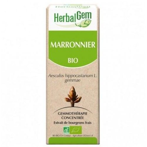 Gemmobase Marronnier 