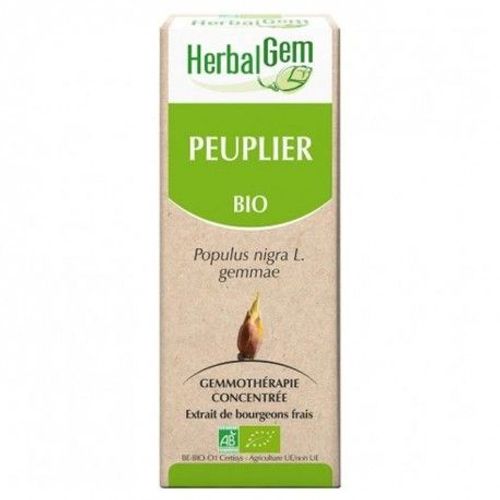 Gemmobase Peuplier 