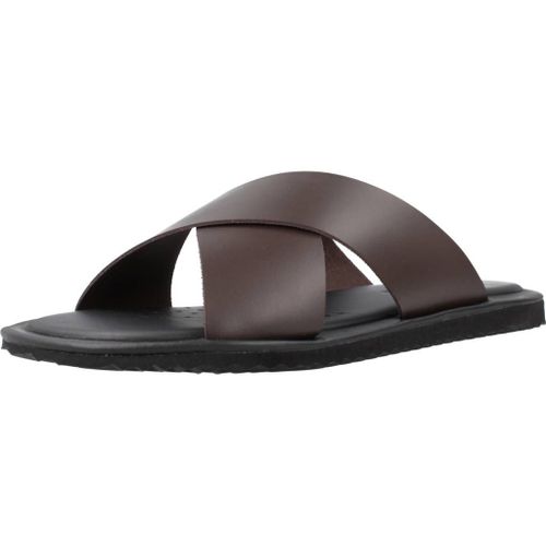 Chaussures Geox U Erice B Colour Marron