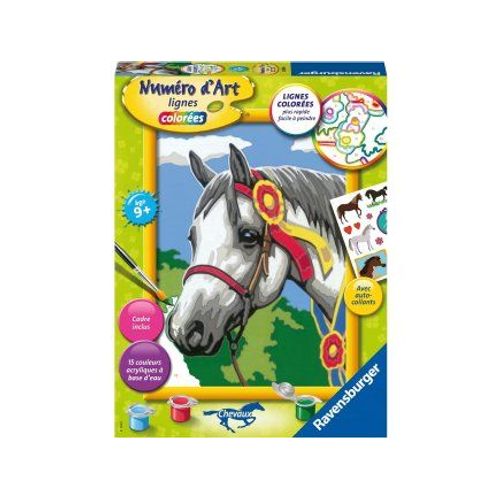 Peinture Numero D'art Cheval Blanc Dans Le Pré 15 Couleurs - Set Tableau Moyen Format + 1 Carte Tigre