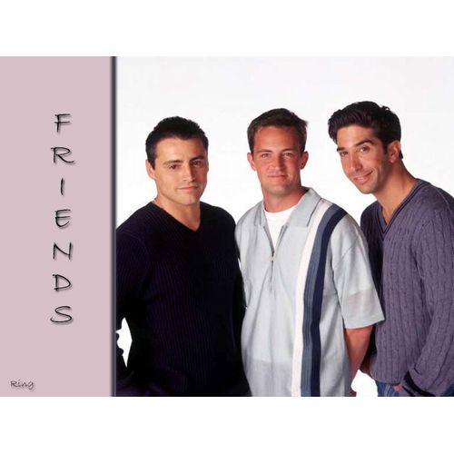 Friends Integrale Saison De 1 À 10