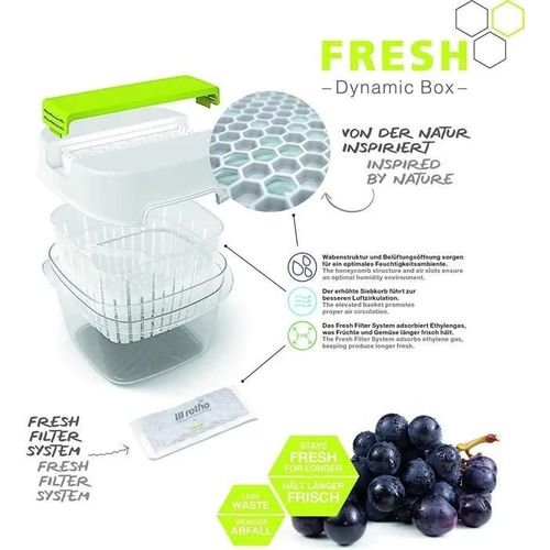 Rotho - 1025990000 - Fresh Jeu De 4 Recharges Fresh Filter System, De Nouveaux Filtres, Blanc, (12.0 X 6.7 X 4.2 Cm)