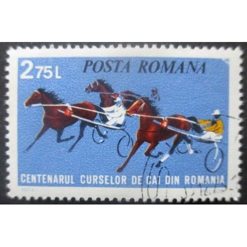 Roumanie N°2832 Hippisme Oblitéré