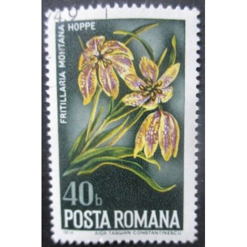 Roumanie N°2864 Fleurs Oblitéré