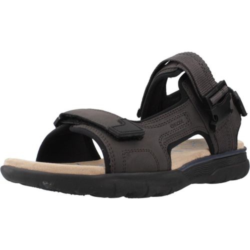 Chaussures Geox U Spherica Ec5 Colour Marron