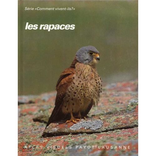 Les Rapaces - Faucons, Buse Variable, Épervier D'europe Et Autres Rapaces Diurnes