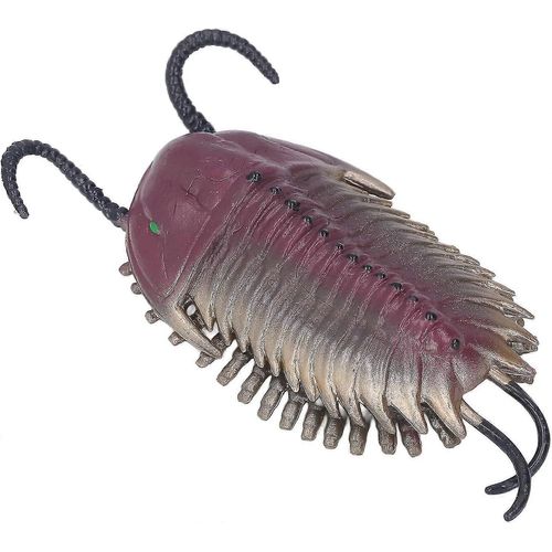 Modèle De Trilobite, Cadeau D¿Anniversaire De Personnage Animal Ancien, Simulation Pour La Réunion De Famille