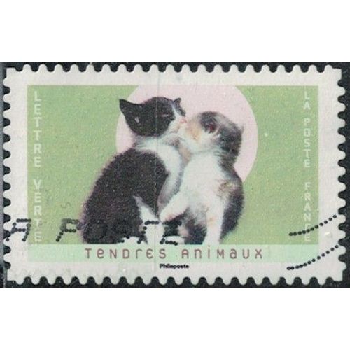 France 2023 Oblitéré Used Tendres Animaux Chats Y&t Fr 2251 Su