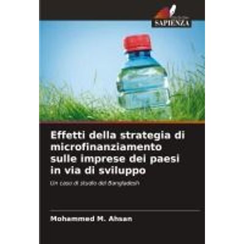 Effetti Della Strategia Di Microfinanziamento Sulle Imprese Dei Paesi In Via Di Sviluppo