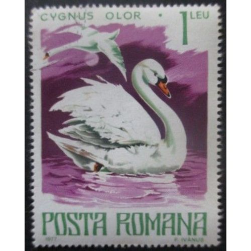 Roumanie N°3022 Cygne Oblitéré