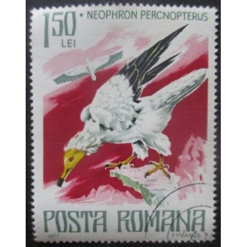 Roumanie N°3023 Rapace Oblitéré