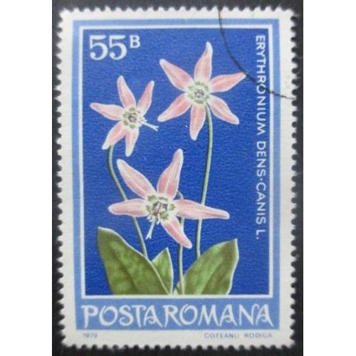 Roumanie N°3157 Fleurs Oblitéré