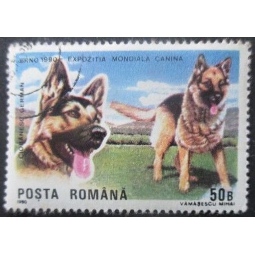 Roumanie N°3869 Chiens Oblitéré