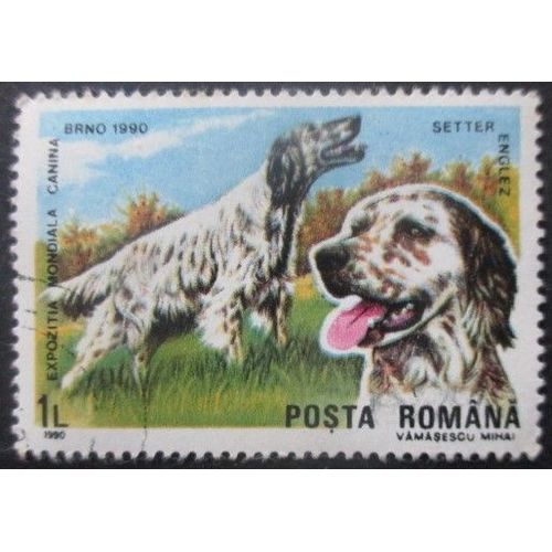 Roumanie N°3871 Chiens Oblitéré