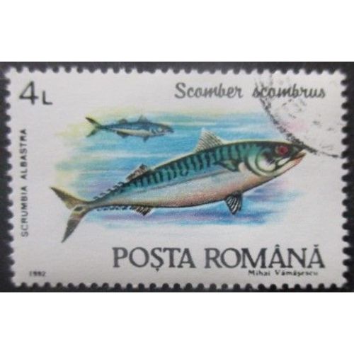 Roumanie N°3991 Poisson Oblitéré